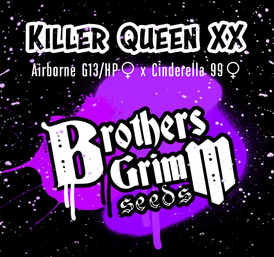 Killer Queen XX photo 1