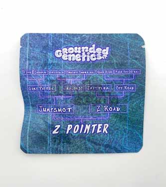 Z-Pointer photo 1