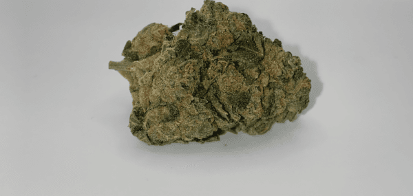 Nic The Bruiser photo 1